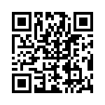 PPT0300GFF2VB QRCode