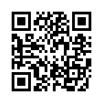 PPT0300GXX5VB QRCode