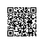 PT02E-10-98P-023 QRCode