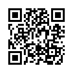 PT4506A QRCode