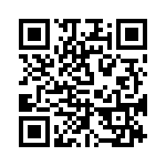 RA17131100 QRCode