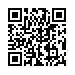 RBM12DSEI-S13 QRCode