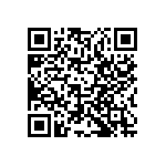 RCP1206W300RJEA QRCode