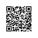 RG1608N-163-B-T5 QRCode