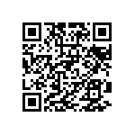 RG2012P-163-B-T1 QRCode