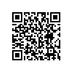 RG2012P-304-B-T1 QRCode