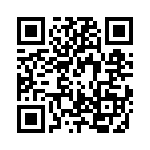 RJHSE538202 QRCode