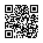 RJHSE538308 QRCode