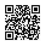 RJHSE538408 QRCode