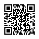 RJHSE538B08 QRCode