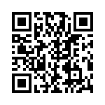 RJSBE5389C1 QRCode