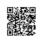 RLR05C1303GSBSL QRCode