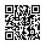 RN55E1002CR36 QRCode