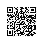 RNC55H1133BMBSL QRCode