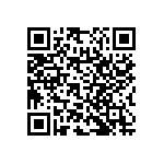 RNC55H1300BSBSL QRCode