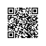 RNC55H1304FSBSL QRCode