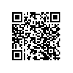 RNC55H1333DSRSL QRCode