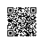 RNC55H1333FRBSL QRCode