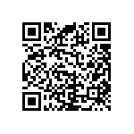 RNC55H1563BSBSL QRCode