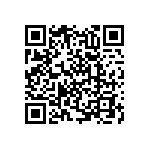 RNC55H16R2BSRSL QRCode