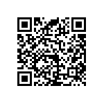 RNC55H16R5BSBSL QRCode