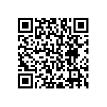 RNC55H2052BRBSL QRCode