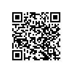 RNC55H2493DSBSL QRCode