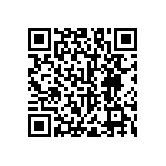 RNC55H3013BSBSL QRCode