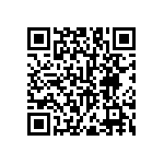 RNC55H3093FSRSL QRCode