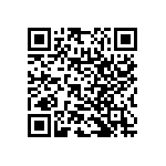 RNC55H3163FSBSL QRCode