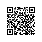 RNC55H3832BSRSL QRCode