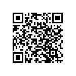 RNC55H3833FRRE6 QRCode