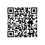 RNC55H4071BSBSL QRCode