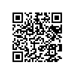 RNC55H4170BSRSL QRCode