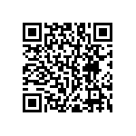 RNC55H4173BSRSL QRCode