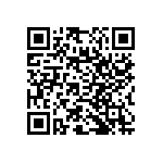 RNC55J1334FSRE6 QRCode