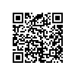 RNC55J2002BPRE6 QRCode