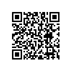 RNC55J20R3BSBSL QRCode