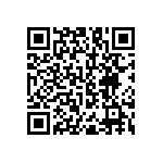 RNC55J2522BSRSL QRCode