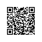 RNC55J3053BSBSL QRCode