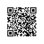 RNC55J3091BPRSL QRCode