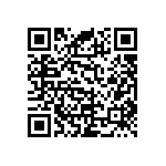 RNC55J3163FSRE6 QRCode