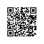 RNC55J4021BSRE6 QRCode