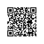 RNC55J4533FSBSL QRCode