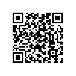 RNC55J6043BSBSL QRCode