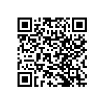 RNC60H3013FRBSL QRCode