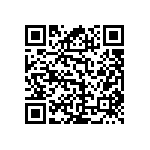 RNC60J3001FSBSL QRCode