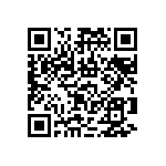 RNCF0402DTC301R QRCode