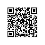 RNCF1206BKE1M91 QRCode