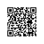 RNCF1206BKE383R QRCode